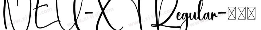 NEU-XT Regular字体转换